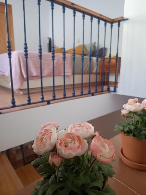 Casa Heli - Ruim Appartement Met Dakterras In Polopos Bagian luar foto
